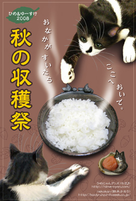 �Ђ߁���[�����WDM
