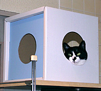 �_���{�[��BOX-2