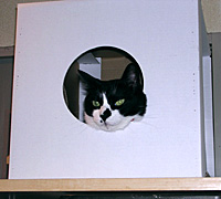 �_���{�[��BOX-3
