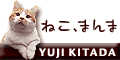 ねこ、まんま